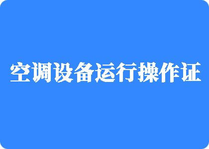 操骚货网站免费看制冷工证